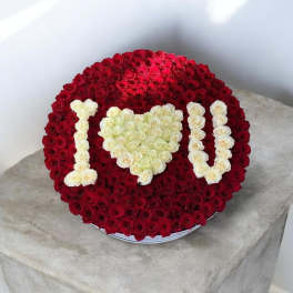 I love you World