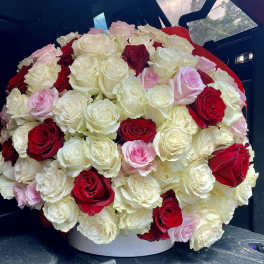 200 Roses by SUFLOR