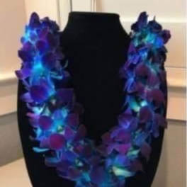 Blue Leis