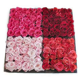 Bed of Roses