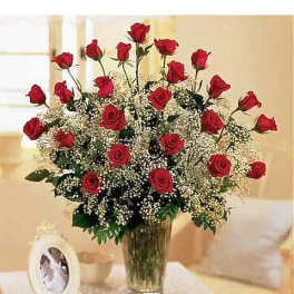 Field of Roses