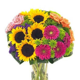 Bright arrangement of sunflowers, pink gerberas, roses, and green mums in a clear glass vase