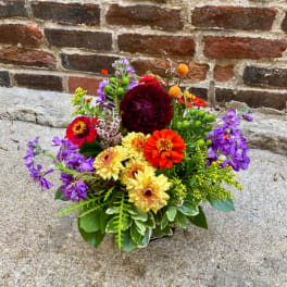 Colorful mixed bouquet with zinnias and purple flowers