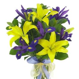Lily & Iris Surprise