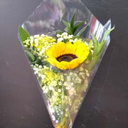MOM'S SINGLE SUNNY SUNFLOWER