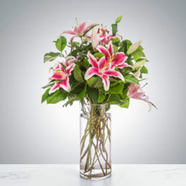 Splendent Stargazers by BloomNation™