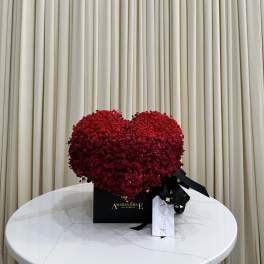 PureHeart