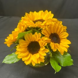 Yellow sunflowers arranged in a low glass vase