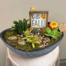 Succulent arrangement in a shallow bowl with a "hello FALL" sign
