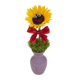 Single sunflower with googly eyes and red bow in a purple vase with green moss at the base