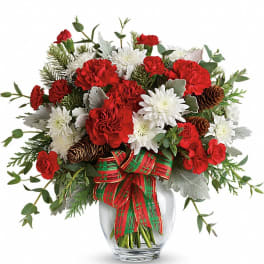 Red and white carnation and mum arrangement with pinecones in a clear vase with a red and green bow