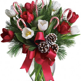 Red and white tulip arrangement with candy canes and pinecones in a glass vase with red ribbon