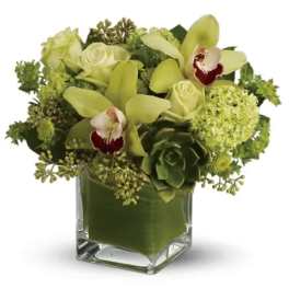 Rainforest Bouquet