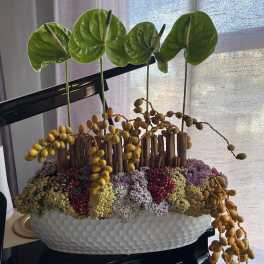 Anthurium Assembly