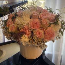 Blushing Blooms