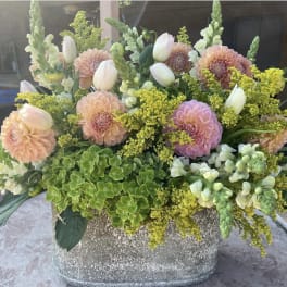 Pretty Petels
