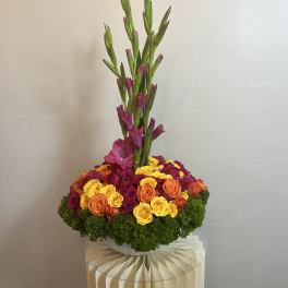 Garden Dreams