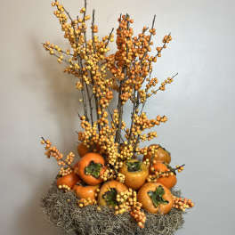 Persimmon Dance