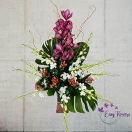 Luxurious Orchids
