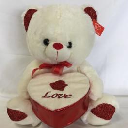 White Teddy Bear