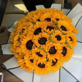 Bouquet of bright yellow sunflowers wrapped in white paper