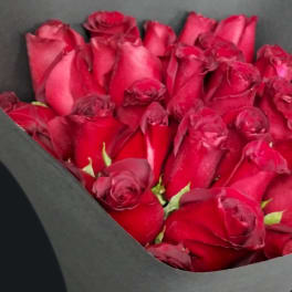 Rossey