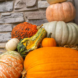 Stacked decorative pumpkins and gourds against a stone wall