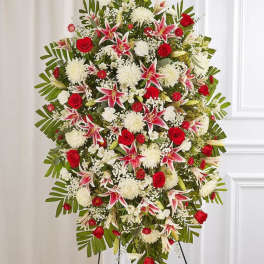 White, Red and pink spray