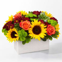 Bright mixed flower arrangement in a white rectangular box