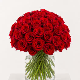 Large bouquet of red roses in a clear glass vase