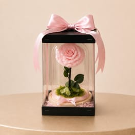 Luxury Forever Rose Dome (Height: 9.84 ")
