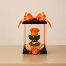 Forever Preserved Rose – Orange (Height: 6.69 ")