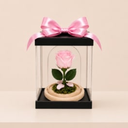 Forever Preserved Rose – Soft Pink (Height: 6.69 ")