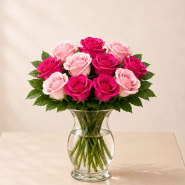 Pink Kiss Roses