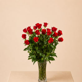 Two Dozen Long Stemmed Red Roses