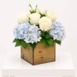 Blue Sky Elegance
