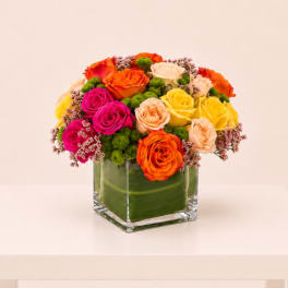 Vibrant Garden Blooms
