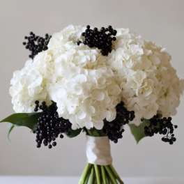 White Whisper