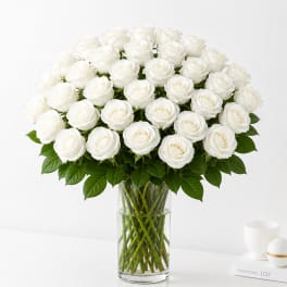 36 White Roses