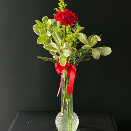 Red carnation arrangement in a clear glass vase with a red ribbon