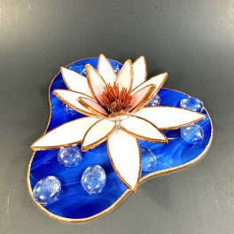 #A134 - White Water Lily