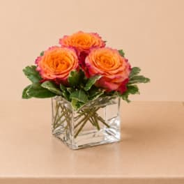Three orange roses in a clear square vase