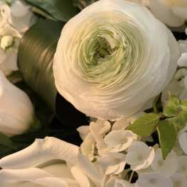 White floral arrangement with a large ranunculus and white blooms