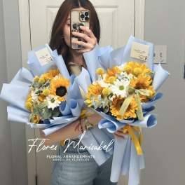 Sunflower freestyle