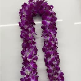 Double Orchid Leis