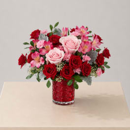 Blush & Crimson Romance