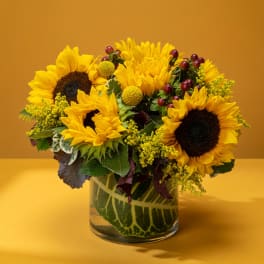 Sunflower bouquet in a clear glass vase with yellow filler flowers