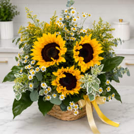 Basket arrangement with sunflowers and small white daisies