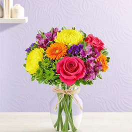Fields of Europe® Celebration