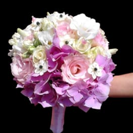Sugar Bloom